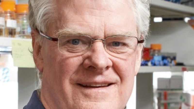 Lee Lynd