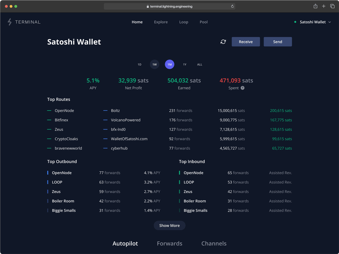Lightning Terminal dashboard showing node performance, routes and channel activity