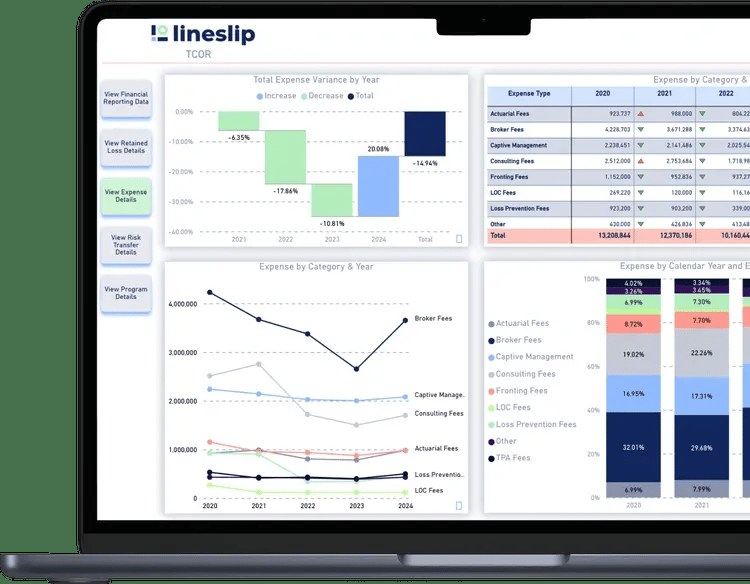 LineSlip program visualization on a laptop