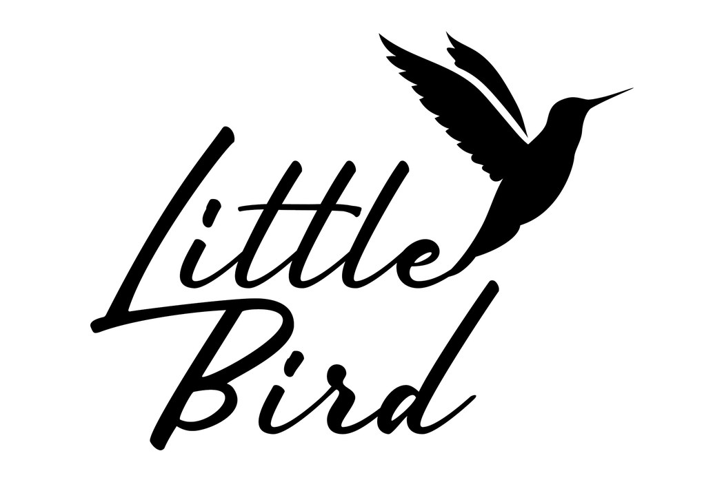 Little Bird Built a Business Out of Knowing Who Should Meet Whom