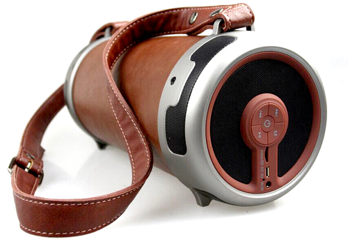 Woozik S29 portable Bluetooth speaker distributed by LTEMP