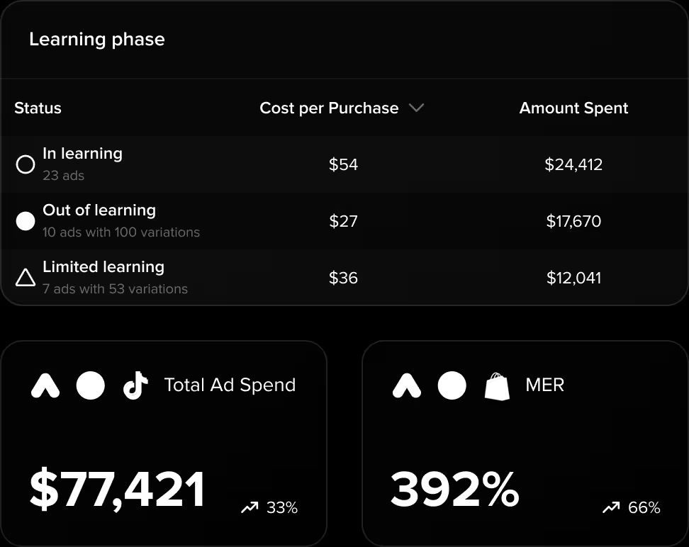 Madgicx analytics cards showing learning status, spend and marketing efficiency ratio