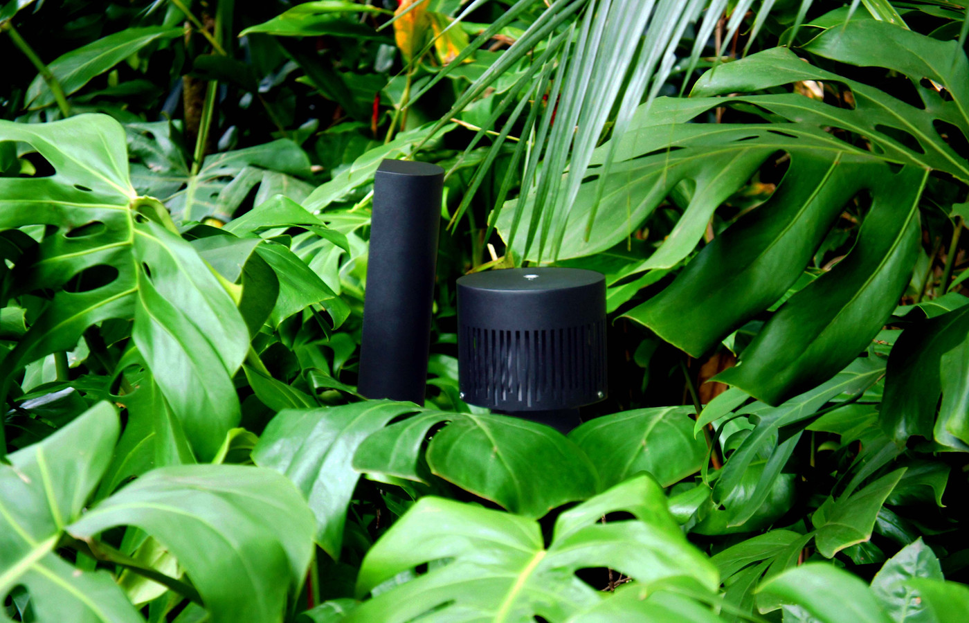 Magna Audio Polly outdoor speaker with integrated light