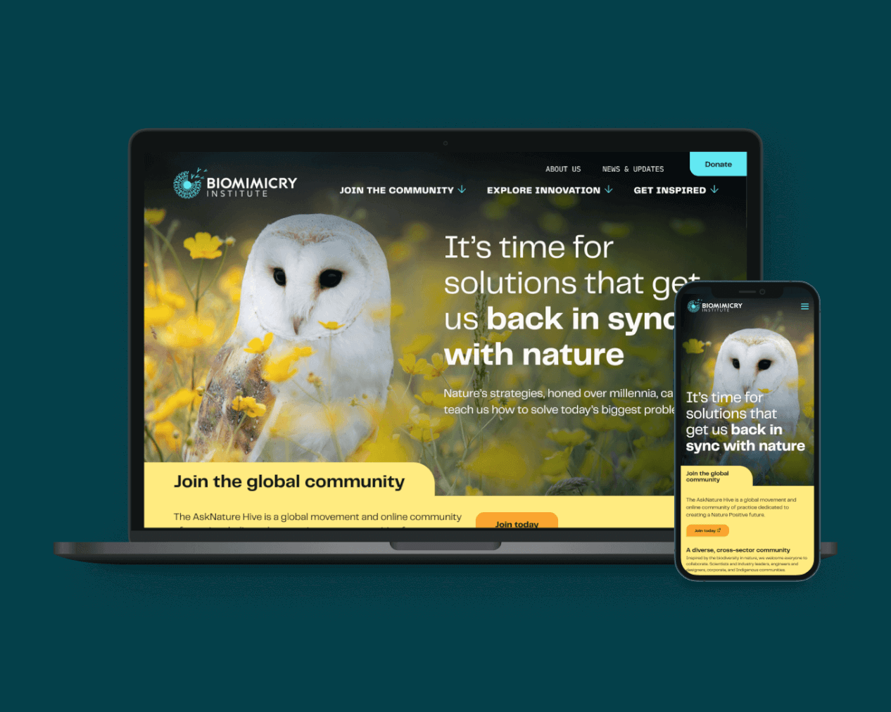 Mangrove’s Biomimicry Institute website displayed on desktop and mobile screens