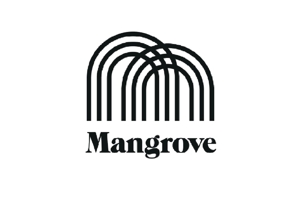 Mangrove builds websites that put clients in the driver’s seat