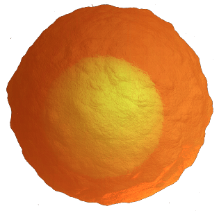 Marengo Therapeutics logo - orange T cell