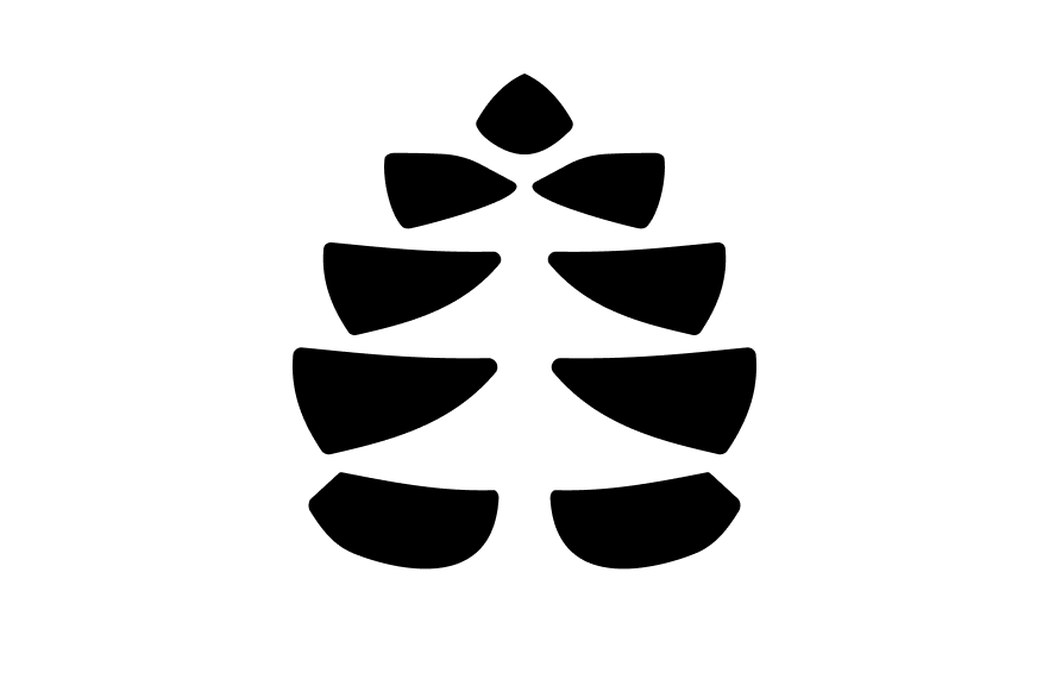 Mast Reforestation Learned Planting Trees Wasn’t the Hard Part - Financing the Forest Was