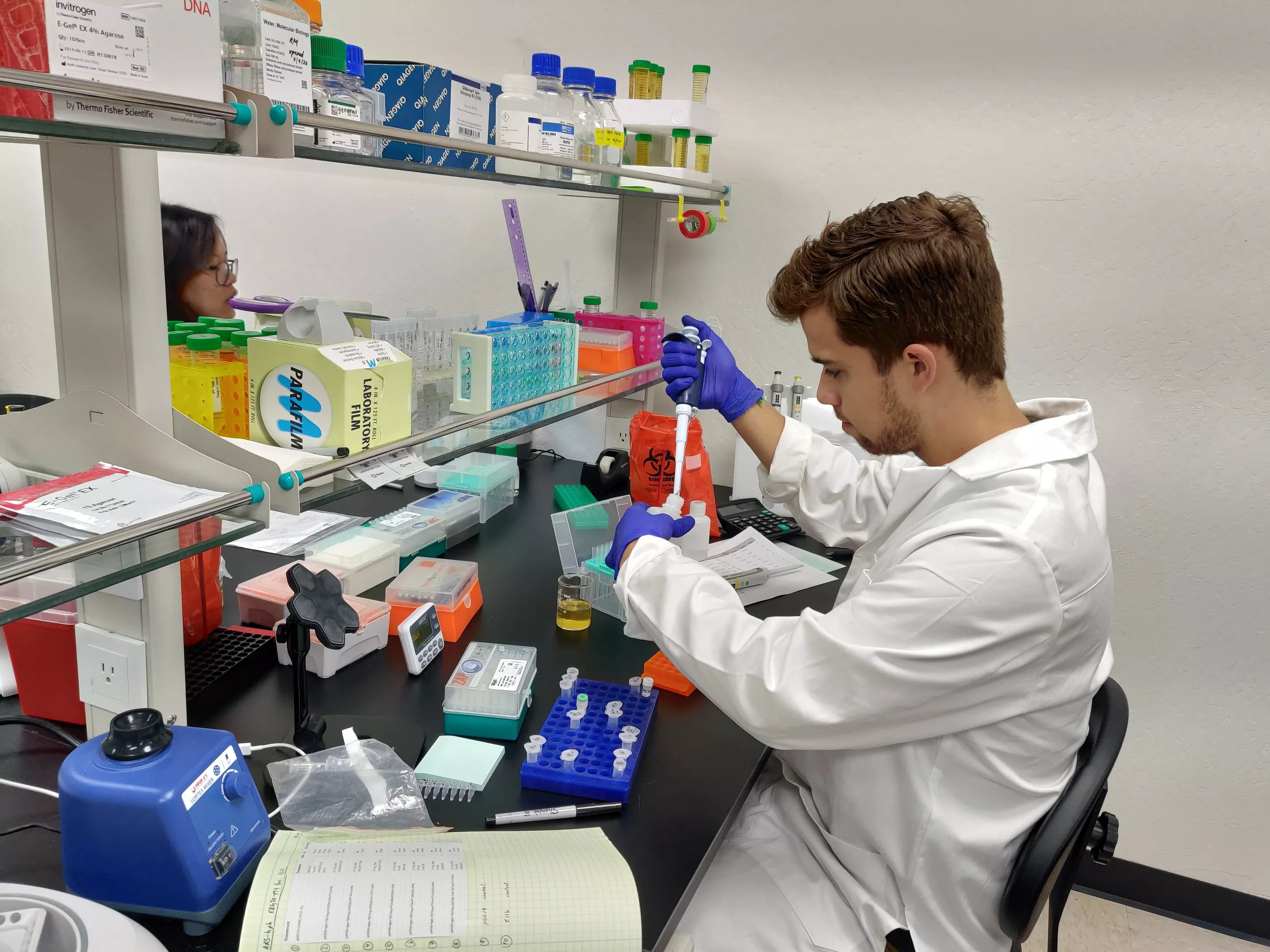 Two BIOMEDICAN researchers working with pipettes at a crowded laboratory bench