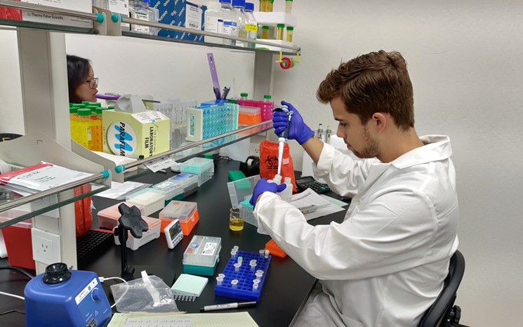 A BIOMEDICAN laboratory researcher handling a pipette at a crowded bench
