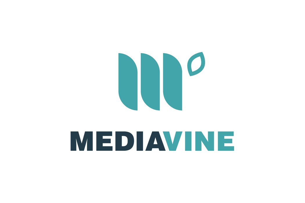 Mediavine turned the ad problem into the business.