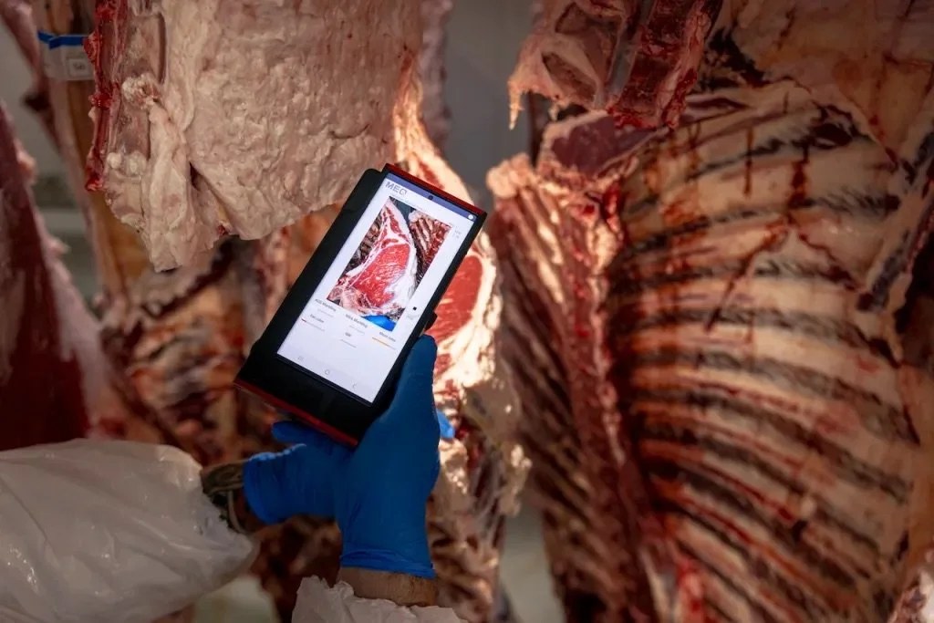 A gloved worker holds a tablet running the MEQ Camera app up to a hanging beef carcass, the screen showing a graded steak image