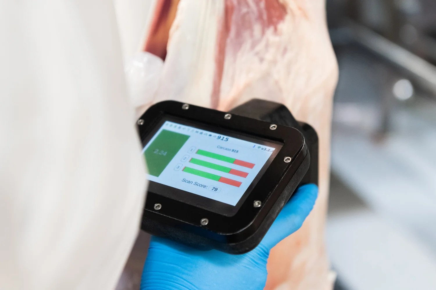 A gloved hand holds the MEQ Probe against a lamb carcass, its screen displaying a scan score of 79