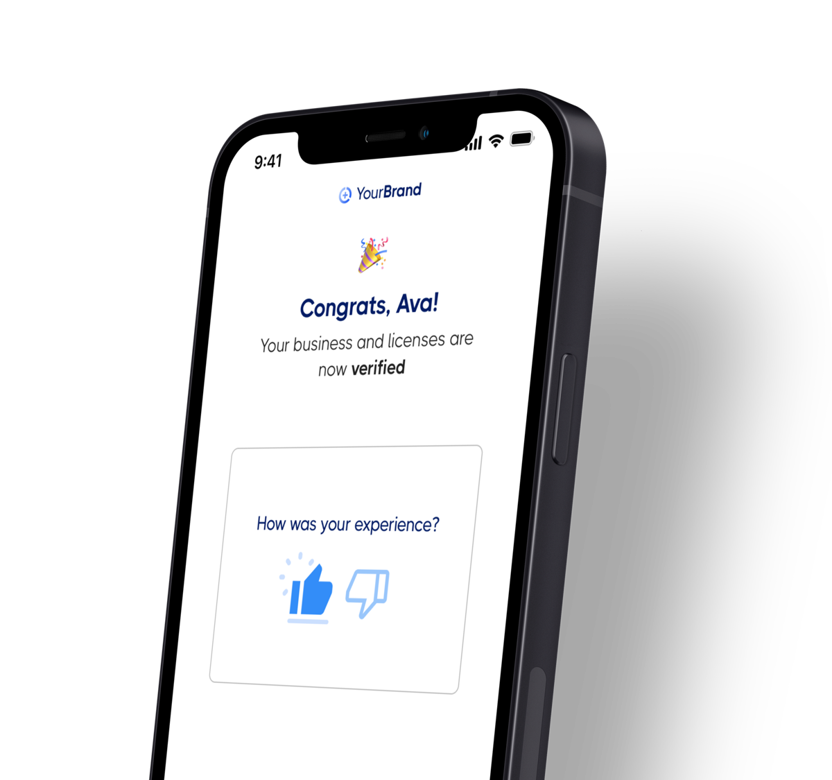 Mesh business and license verification product