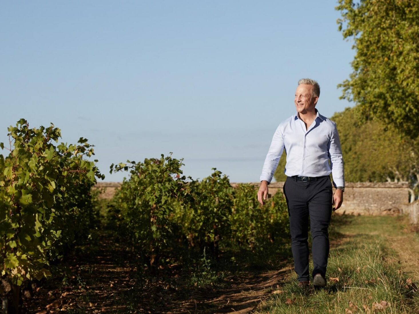 Michael Baum walking between vineyard rows at Château de Pommard