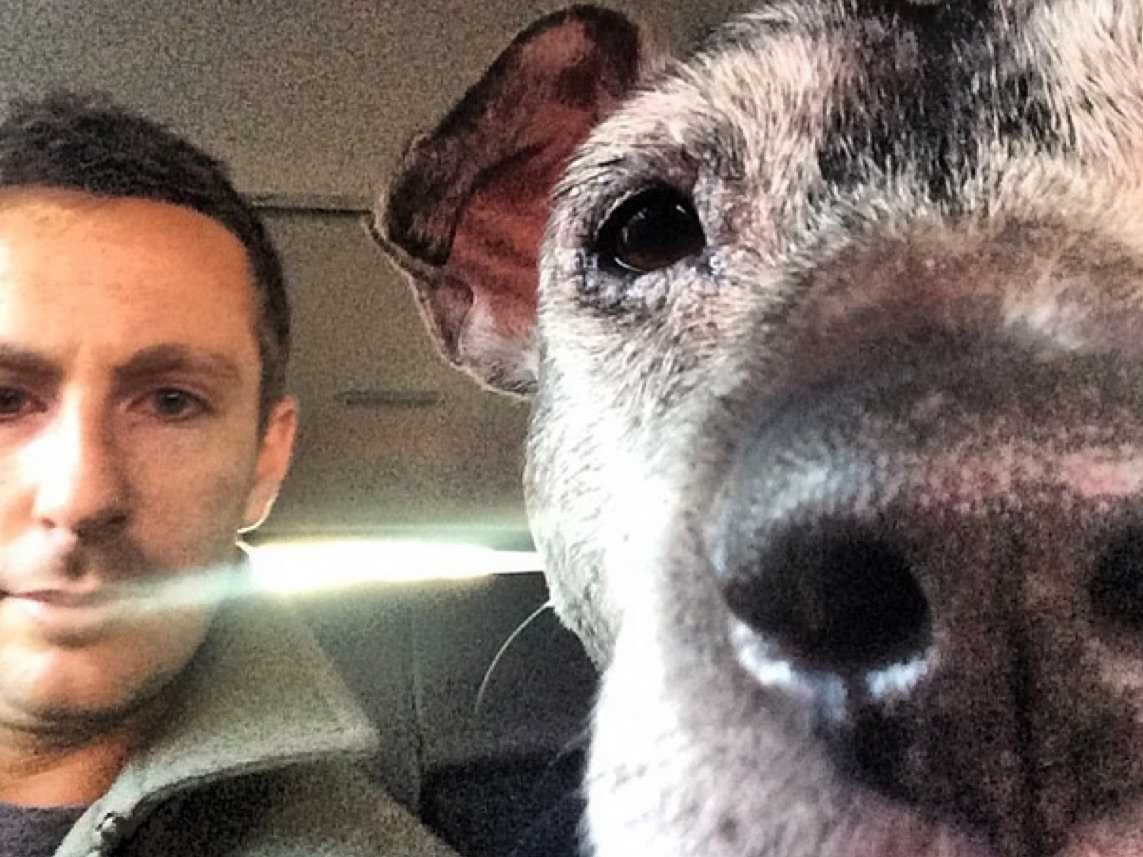 Michael Katz at the left of a candid photograph, with his dog Coop filling the foreground