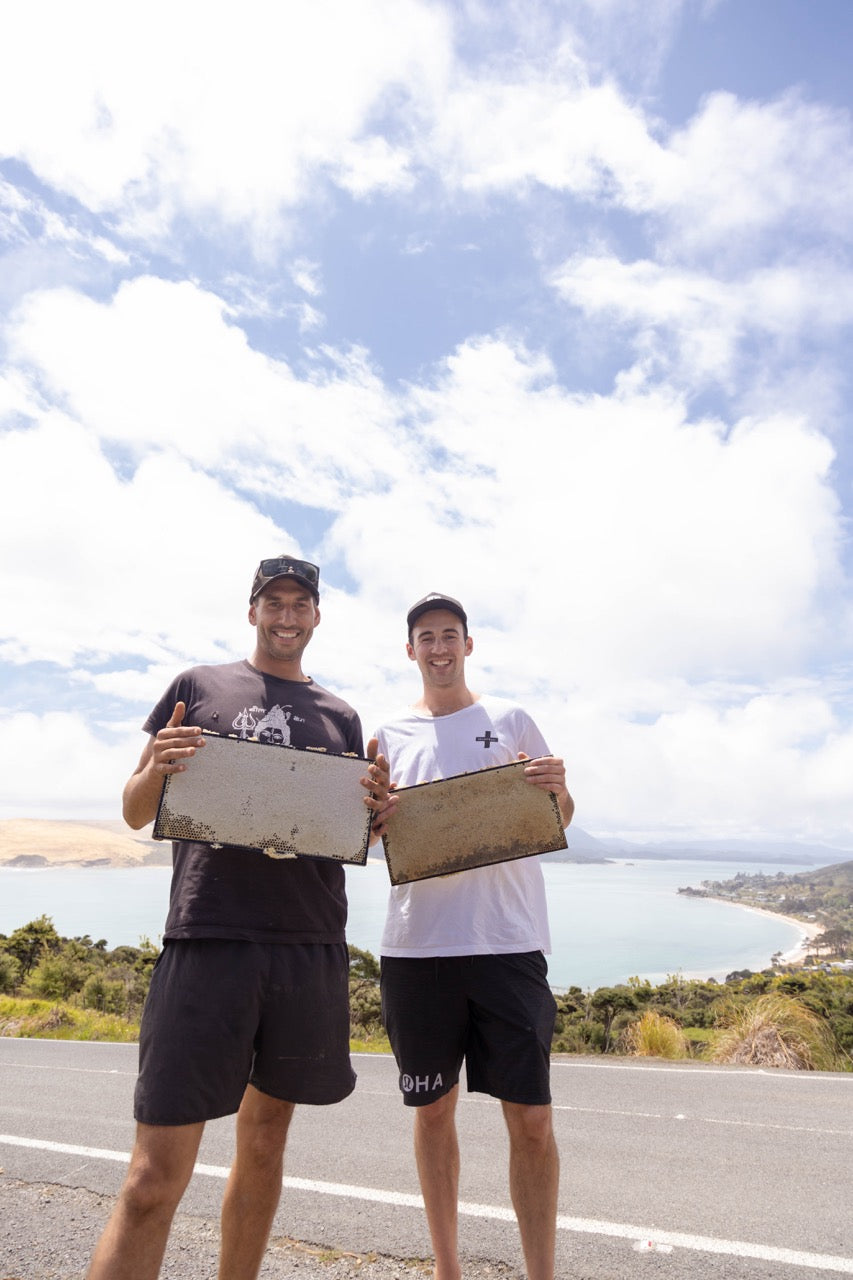 Mike Bell, right, and beekeeper Jim holding honey frames above a coastal landscape in New Zealand’s Far North