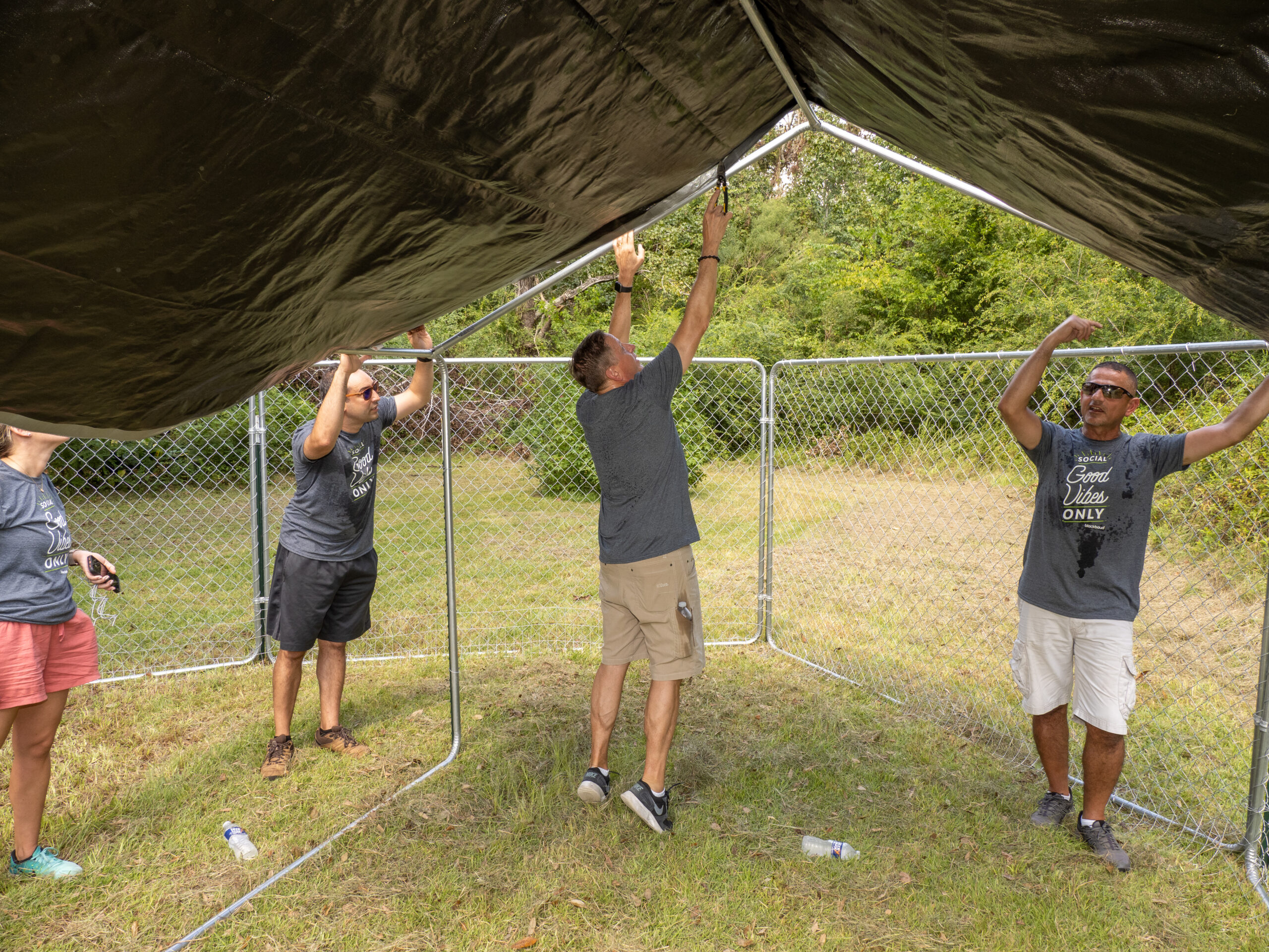 Volunteers securing a shade cover over a fenced enclosure during animal welfare work