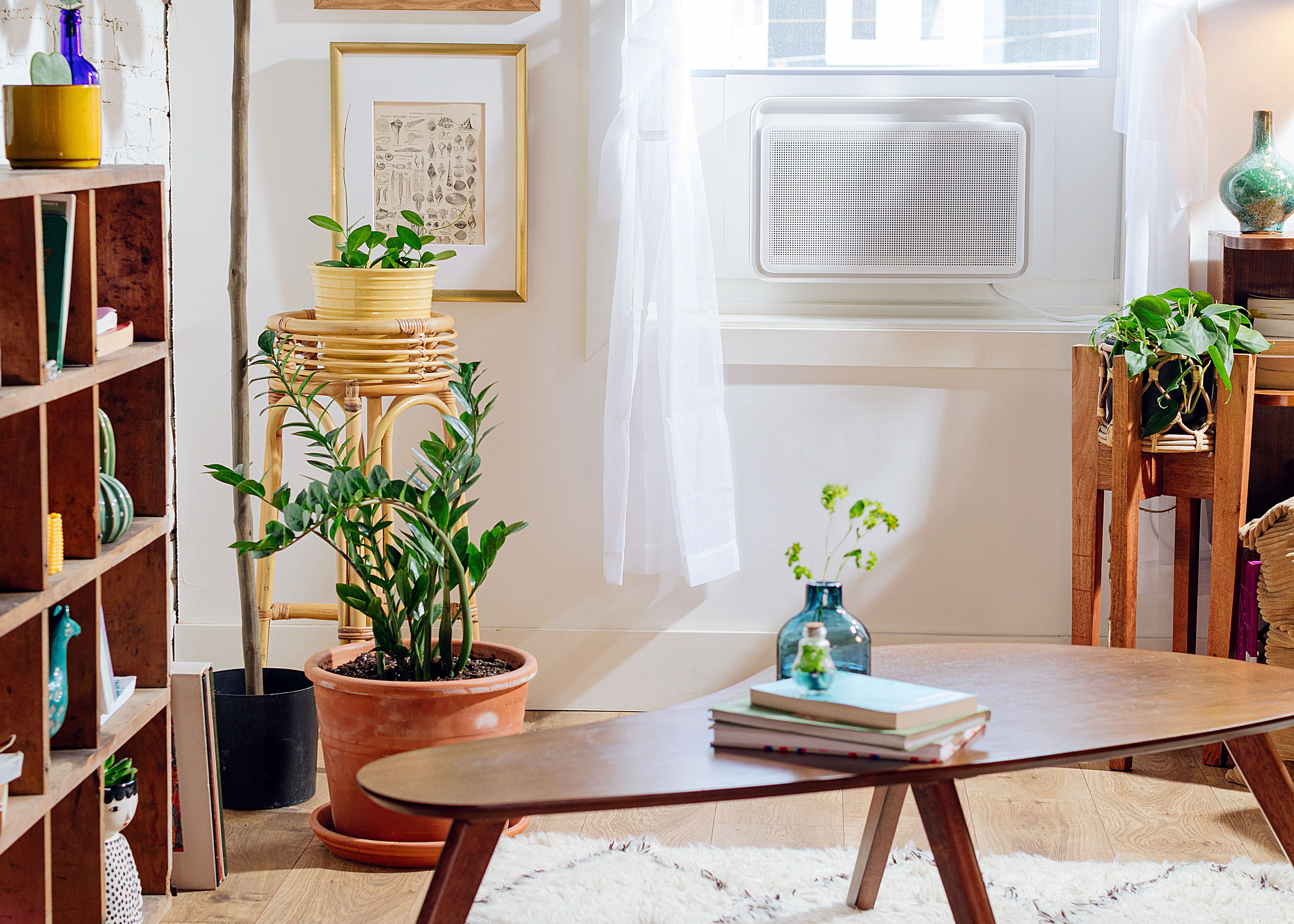 A white Windmill window air conditioner installed among plants and furniture in a bright living room