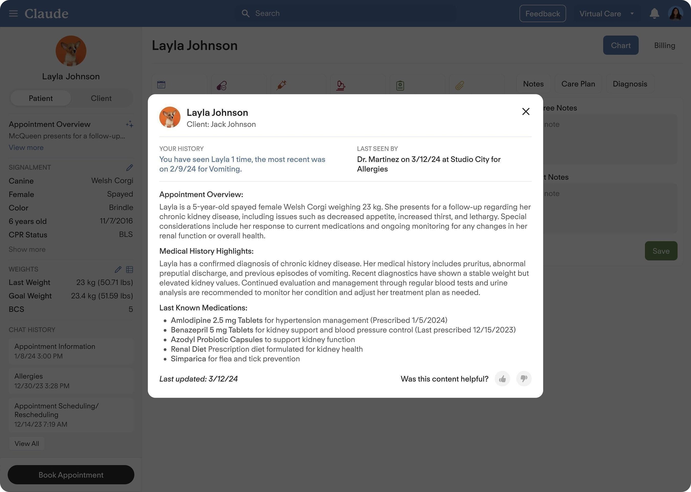 Modern Animal’s AI-assisted patient overview displaying a structured summary of a pet’s medical record
