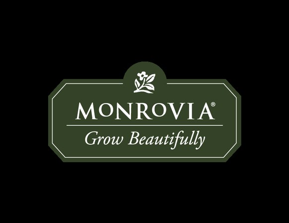 Monrovia