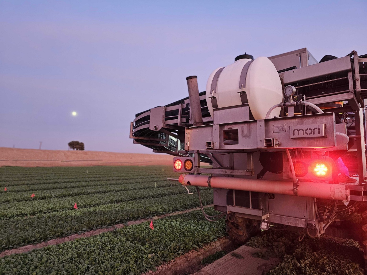 A Mori-branded harvester beside rows of leafy greens at dusk