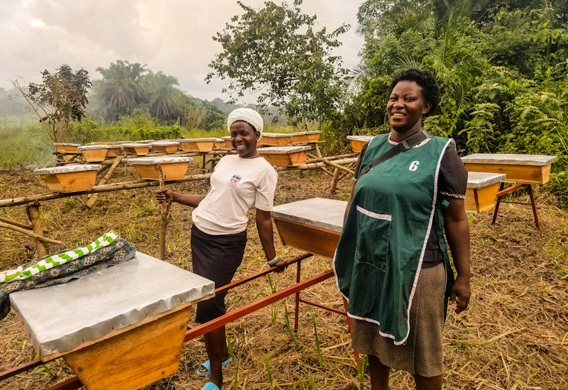 Two BUWOBE trainees beside beehives in Uganda