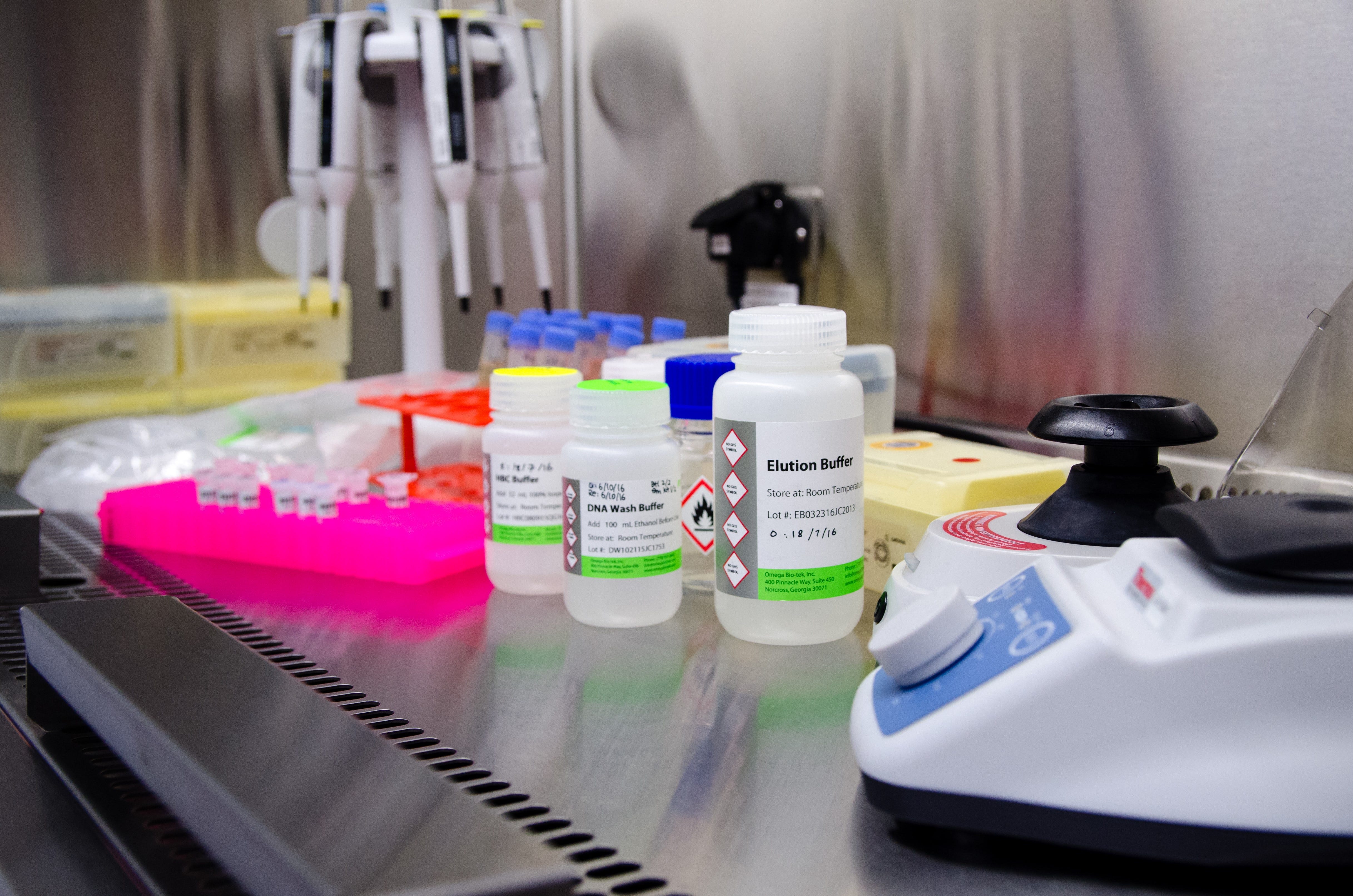 Laboratory workbench with pipettes, labelled bottles and equipment