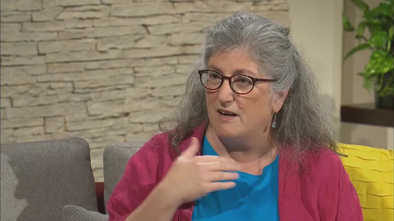 Nancy Gruver speaking during a televised conversation about girls and media