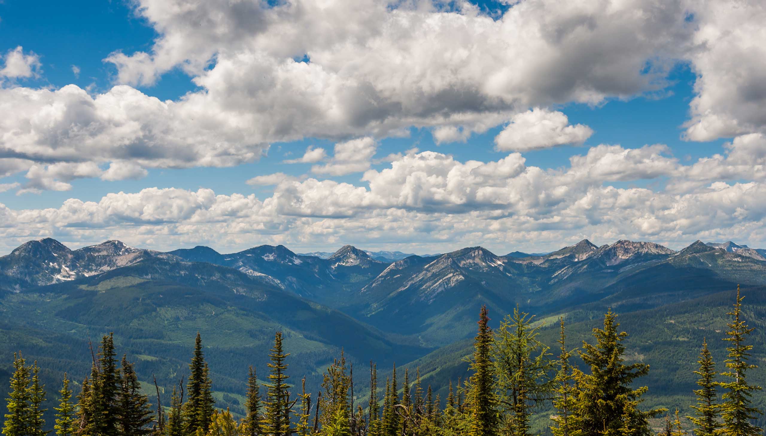 A broad forested mountain landscape at Darkwoods in British Columbia