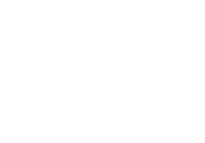 NCX logo