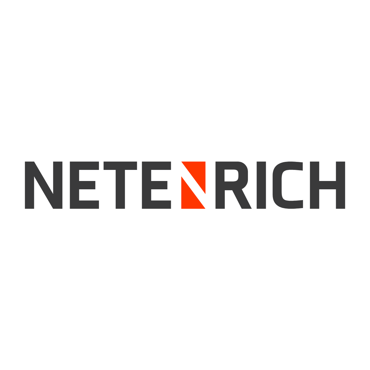 Netenrich logo