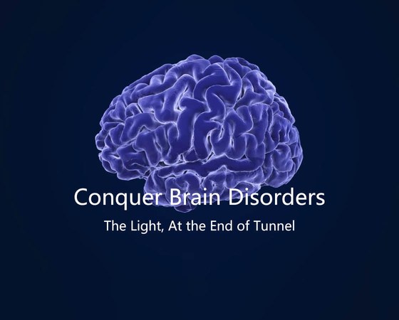 Neural Galaxy