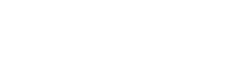 NevadaNano logo