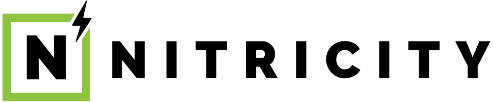 Nitricity primary logo