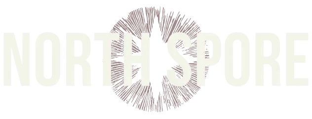 North Spore logo
