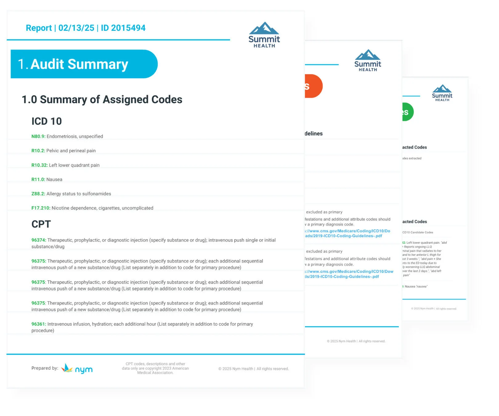 Nym product illustration showing an audit trail and coding rationale