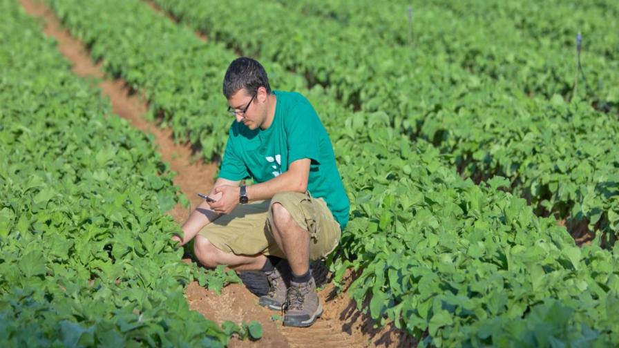 Ofir Schlam standing in a crop field and using a tablet