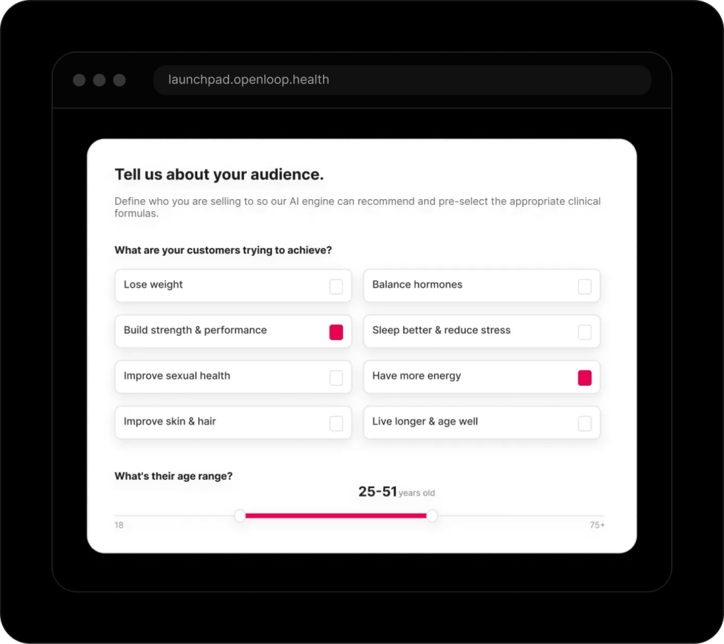 OpenLoop Launchpad interface asking a brand to describe its audience and customer goals