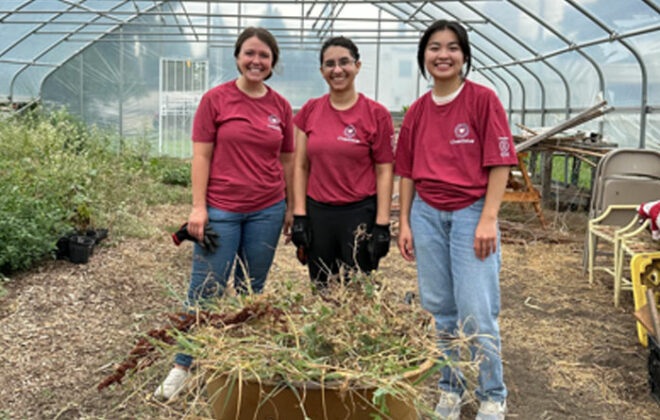 Three OverDrive employees volunteering in a greenhouse