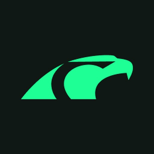 Overhaul logo - green hawk mark on navy