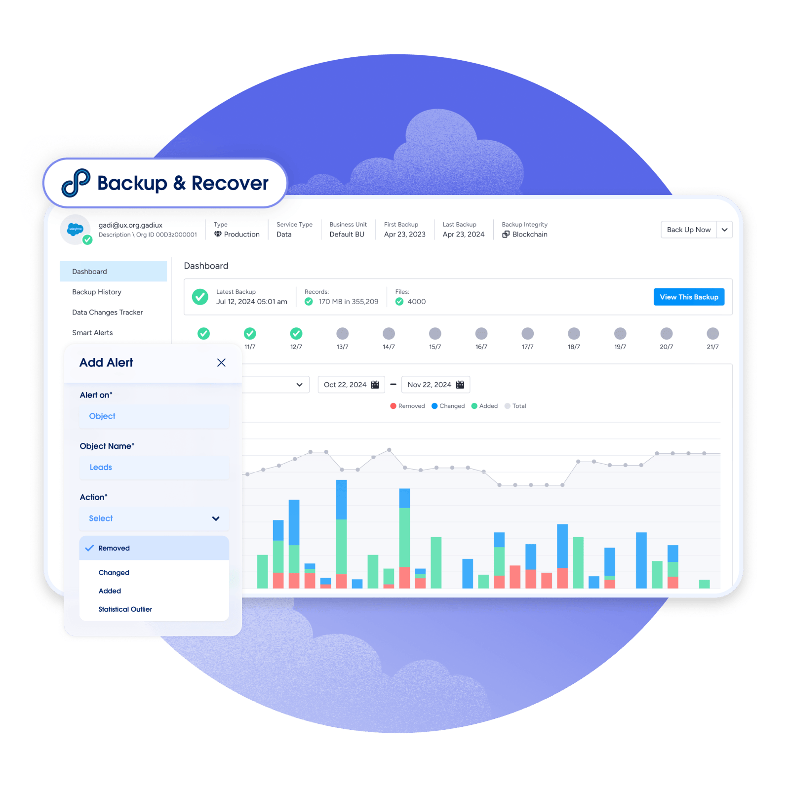Salesforce Backup and Recover interface showing backup history and activity