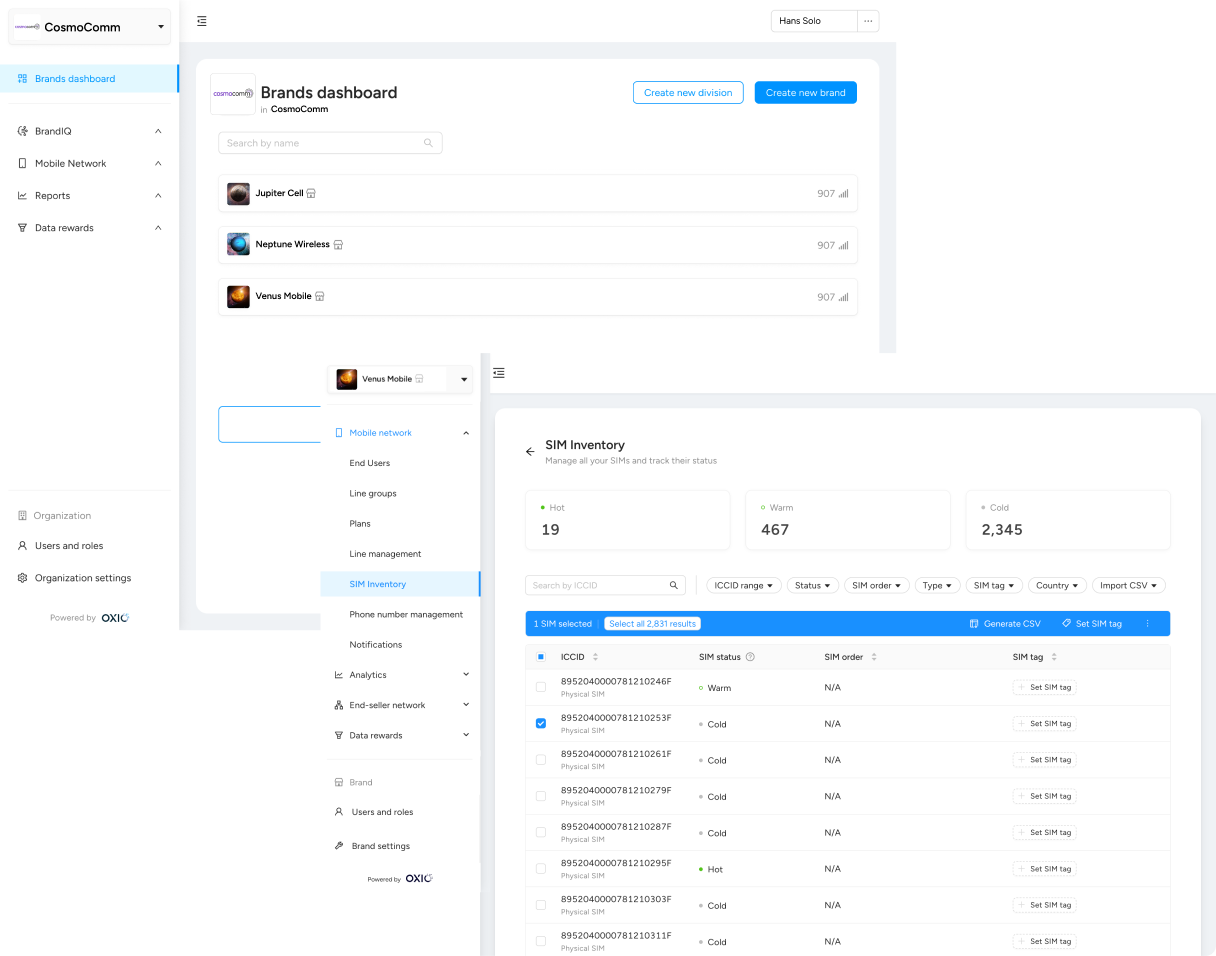 BrandVNO demo dashboards showing brands and SIM inventory