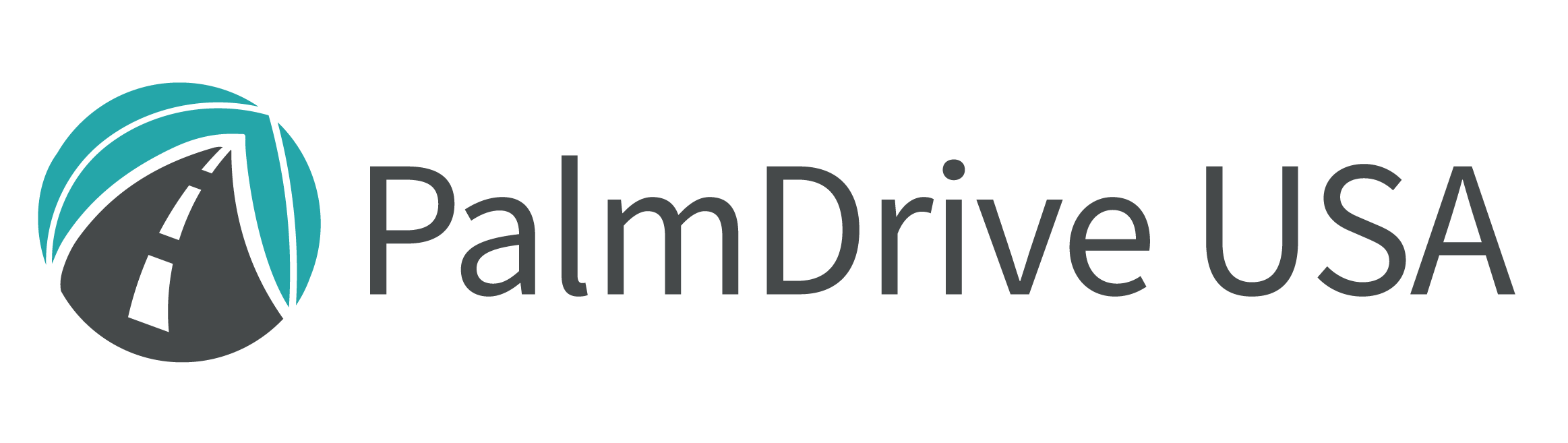 PalmDrive logo