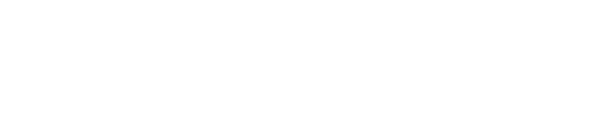Pascal Metrics logo