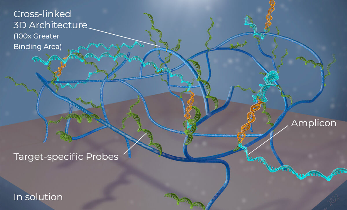 PathogenDx illustration of the cross-linked three-dimensional microarray architecture