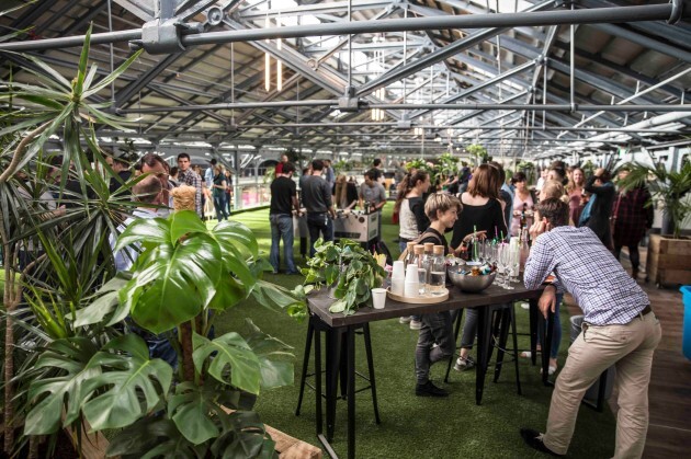 People talking around tables among plants beneath the roof of Dogpatch Labs