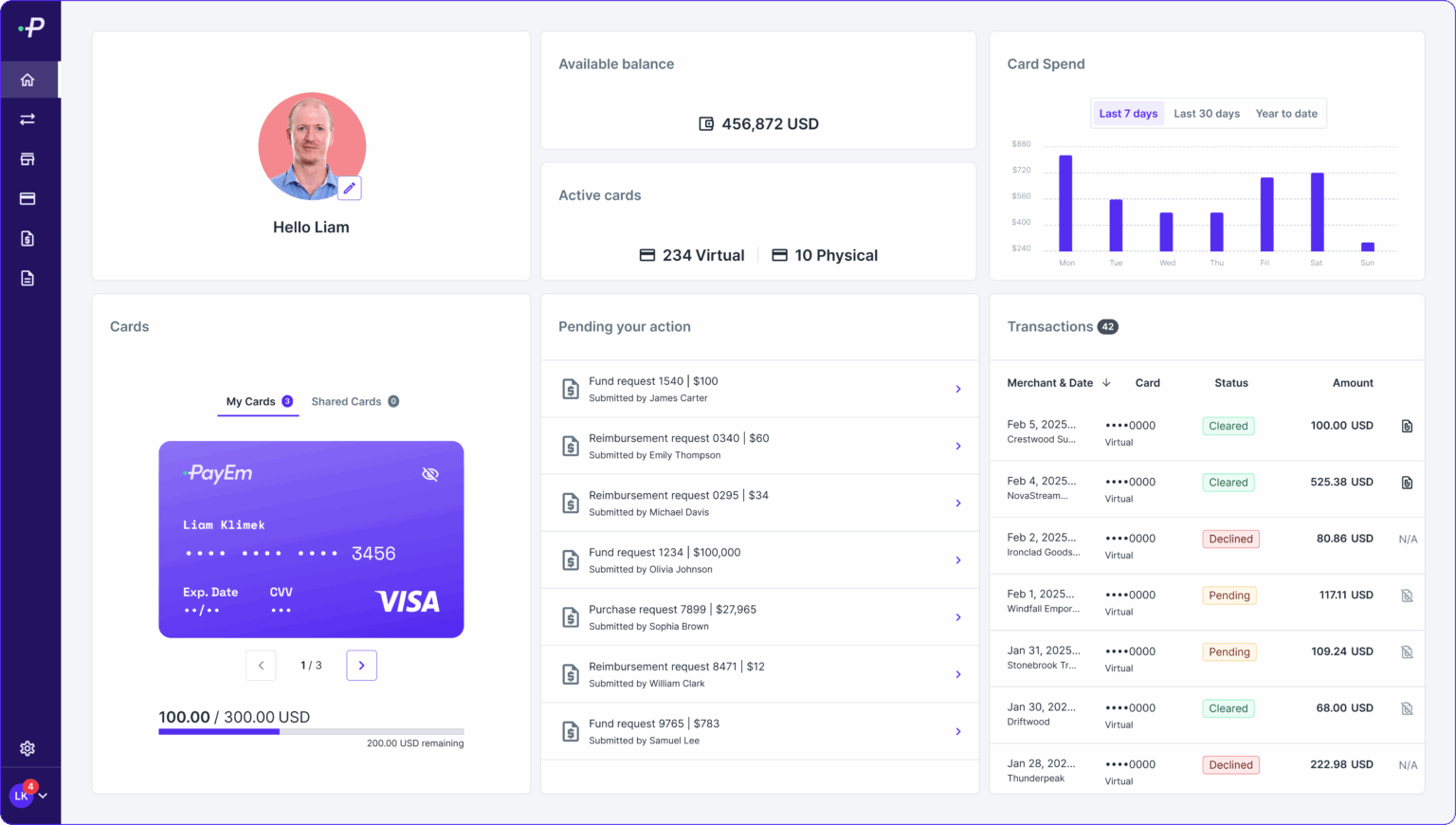 PayEm product interface showing spend and procurement controls