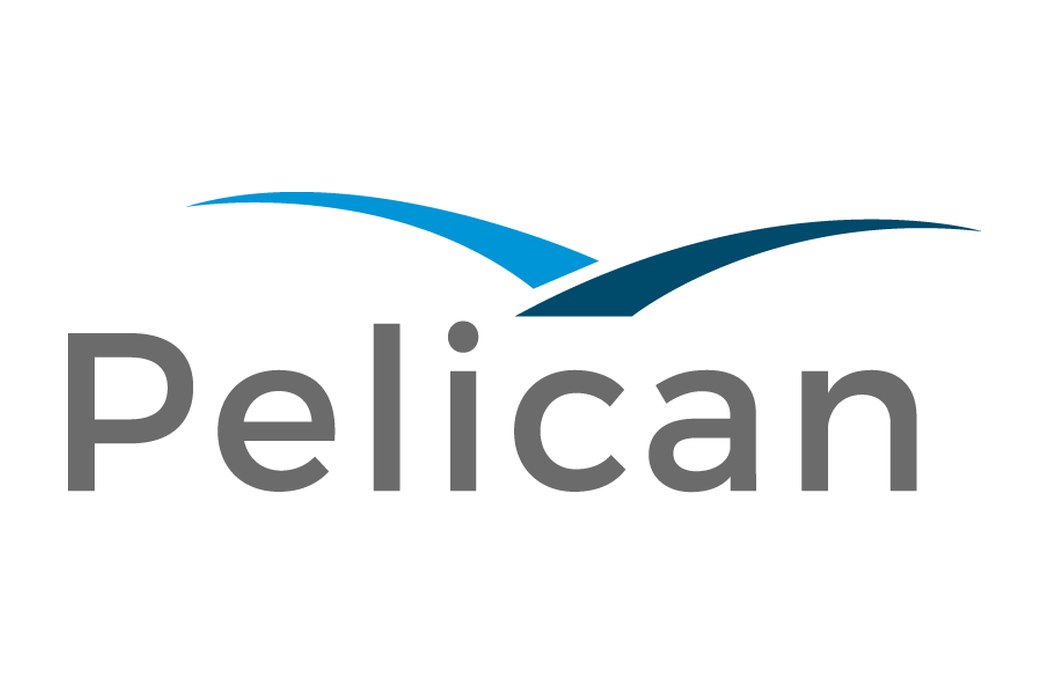 Pelican.ai and the expensive art of the false alarm