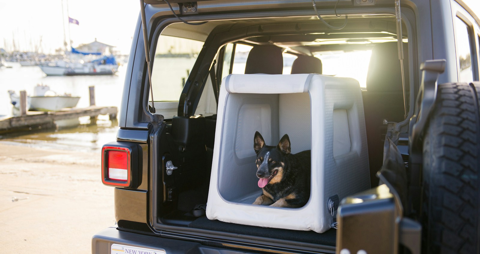 Diggs Enventur inflatable dog travel kennel