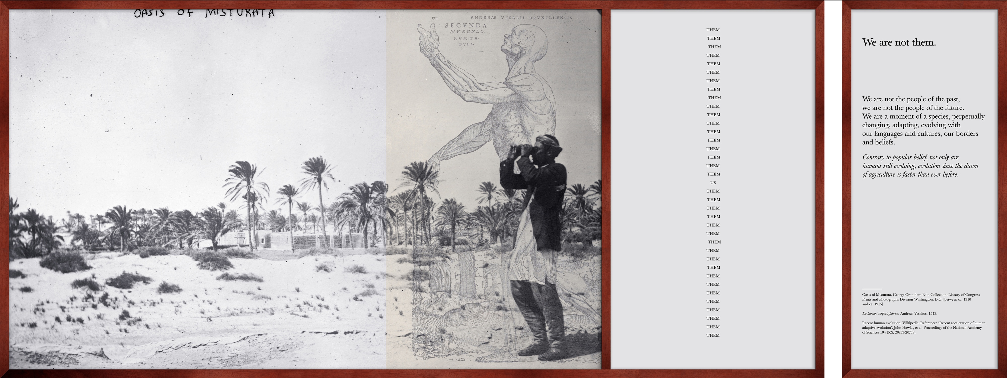 Perry Chen’s We are not them: historical imagery and columns of text arranged in framed panels.